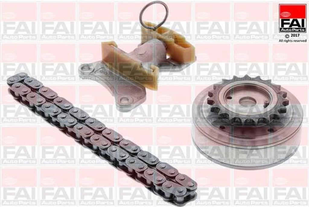 FAI AutoParts TCK124VVT Steuerkettensatz OE 06D109229B kompatibel mit A1 8X, A3 8P, A4 8E, A4 8H, A6 4F, TT, Altea, Altea XL, Exeo, Leon, Toledo, O...