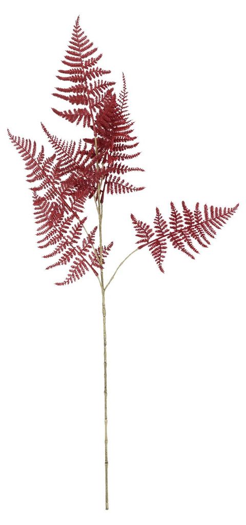 Countryfield Kunstblume Spielzeug Asparagus S bordeaux 85cm dekorativ