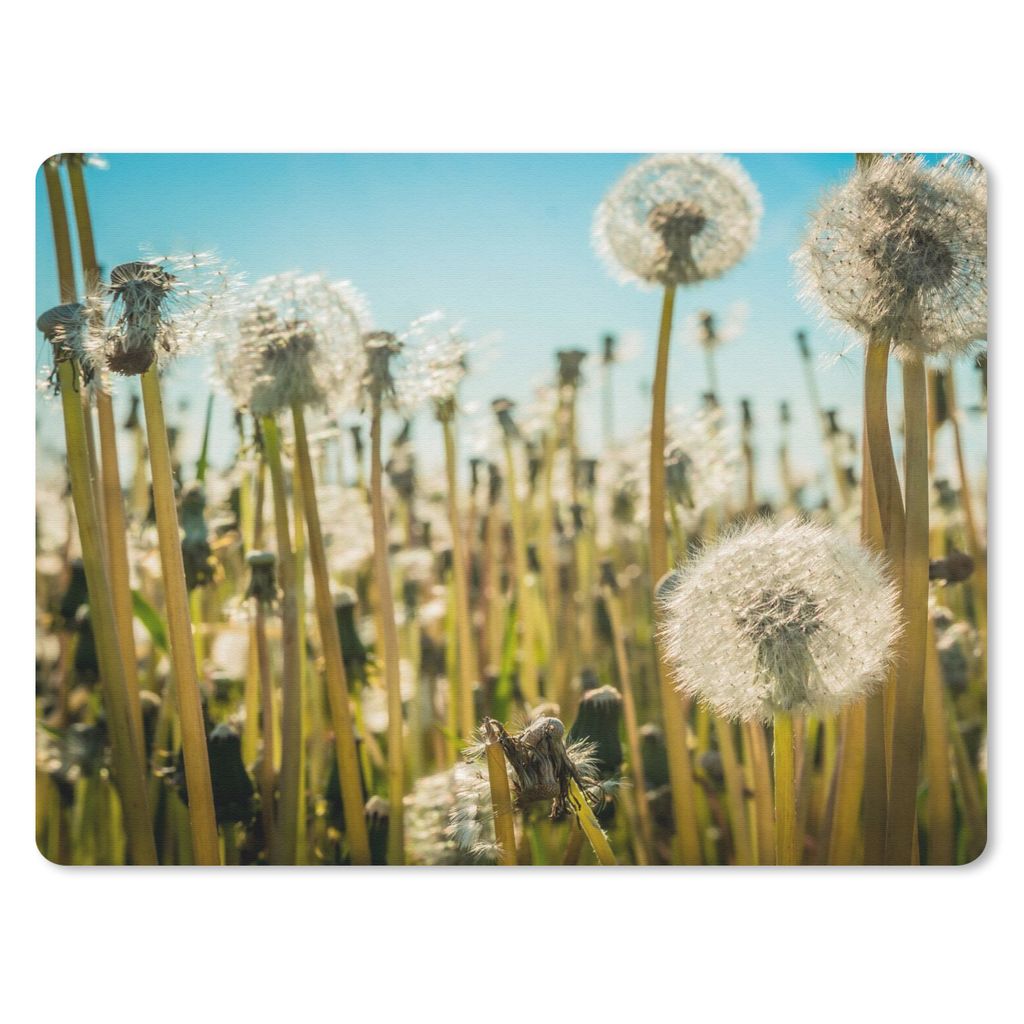 MuchoWow Mauspad Mousepad Blumen - Löwenzahn - Gras 40x30 cm - Mousepads - Maus Mat - Pad - Mausunterlage - Anti Rutsch