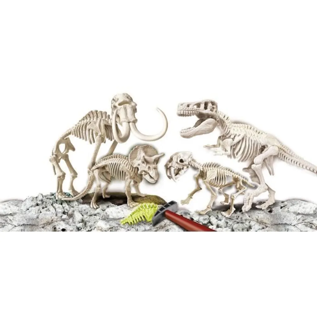Jeu éducatif idéal pour apprendre les sciences naturelles à la maison