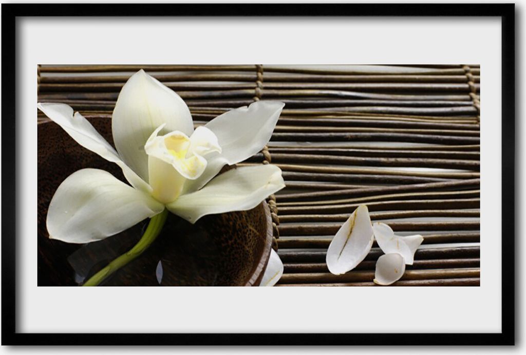 Bild 60x40 MDF-Rahmen Wandkunst Natur Blume Pflanze