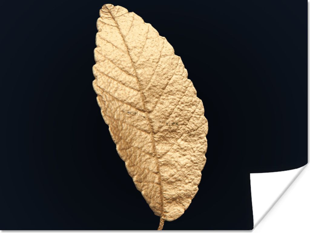 MuchoWow Poster Schwarz und Gold - Blätter - Schwarz - Pflanzen - Luxus 160x120 cm - Foto Plakat