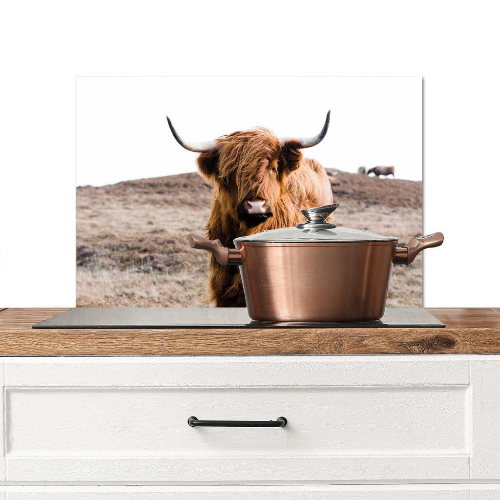 KitchenYeah Spritzschutz Küche - Küchenrückwand - Wandschutz für Herd und Spüle - Schottische Hochlandrind - Landschaft - Kuh - Braun - Tier...