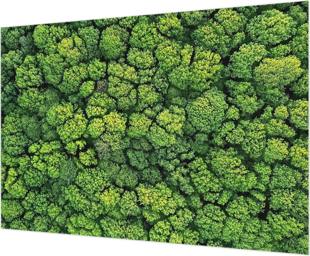 Wandtapete - Dekorative Tapete für Wohnzimmer - Tapetenfolie für Wanddekoration - 208x146 cm - Waldpanorama