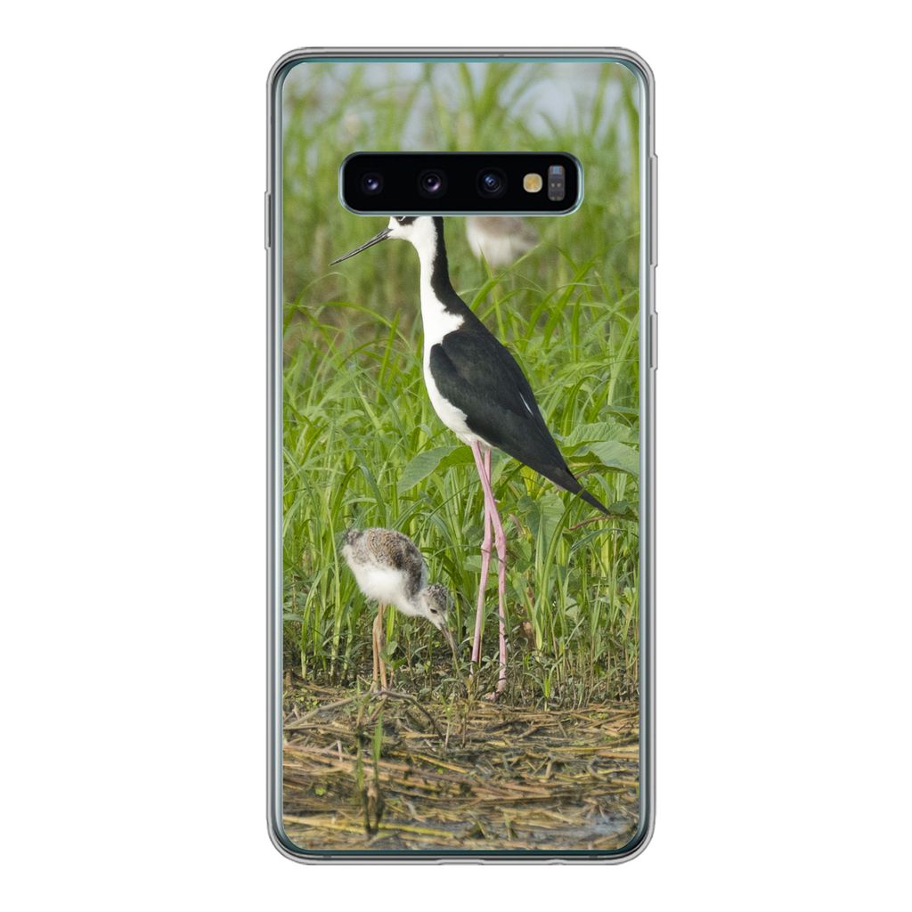 MuchoWow Handyhülle Schutzhülle Hülle für Samsung Galaxy S10 Vogel - Gras - Küken - Sumpf Silikon Softcase Handy Hülle - Handytasche