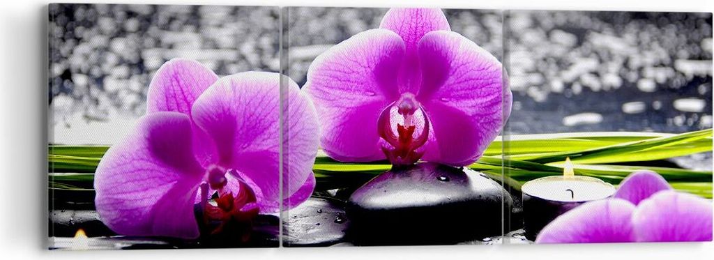 Bild auf Leinwand - Leinwandbild - Orchidee Natur Wasser Blume - 90x30cm - Wand Bild - Wanddeko - Leinwanddruck - Bilder - Kunstdruck - Wanddekorat...
