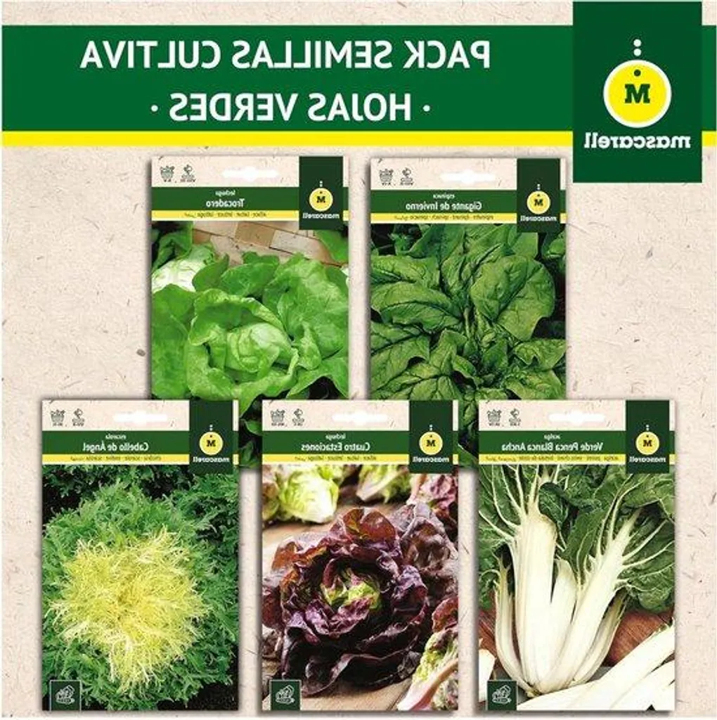 Cultiver ses légumes verts à la maison - Kit graines blettes et salades