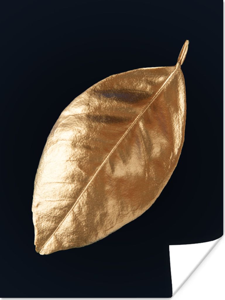 MuchoWow Poster Blätter - Schwarz und Gold - Luxus - Natur - Pflanzen 30x40 cm - Wandplakat - Poster Kinderzimmer
