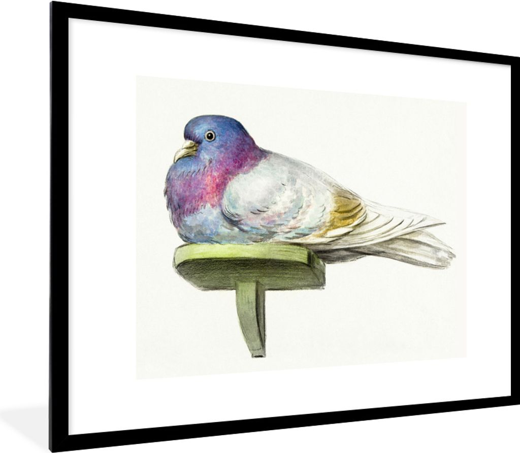 MuchoWow MuchoWow Gerahmtes Poster Taube auf einem Regal sitzend - Gemälde von Jean Bernard 80x60 cm - Poster mit zchwarzem Bilderrahmen - Sch...