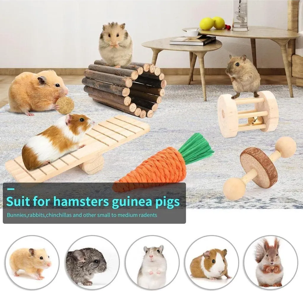Roue pour hamster et cachette rongeur pour l'aménagement de la cage - 3