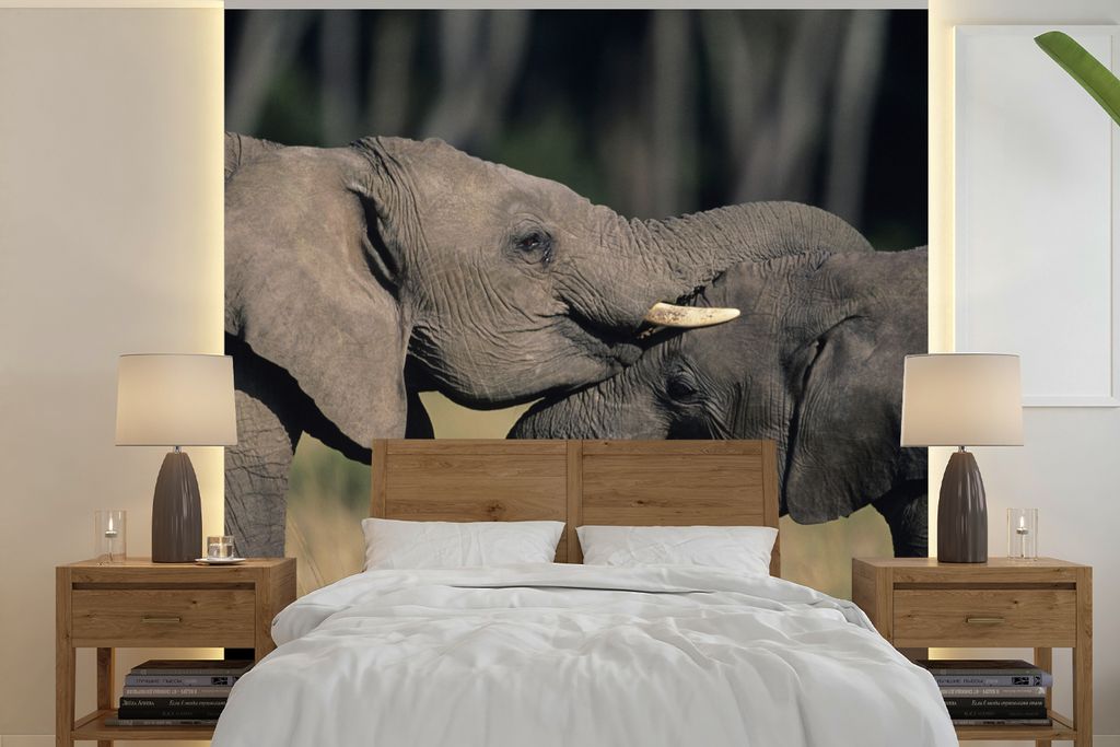 MuchoWow Fototapete für Wohnzimmer oder Schlafzimmer Wandtapete Vinyl Motivtapete Fließende Elefanten - 240x240 cm - Schlafzimmer-Tapete