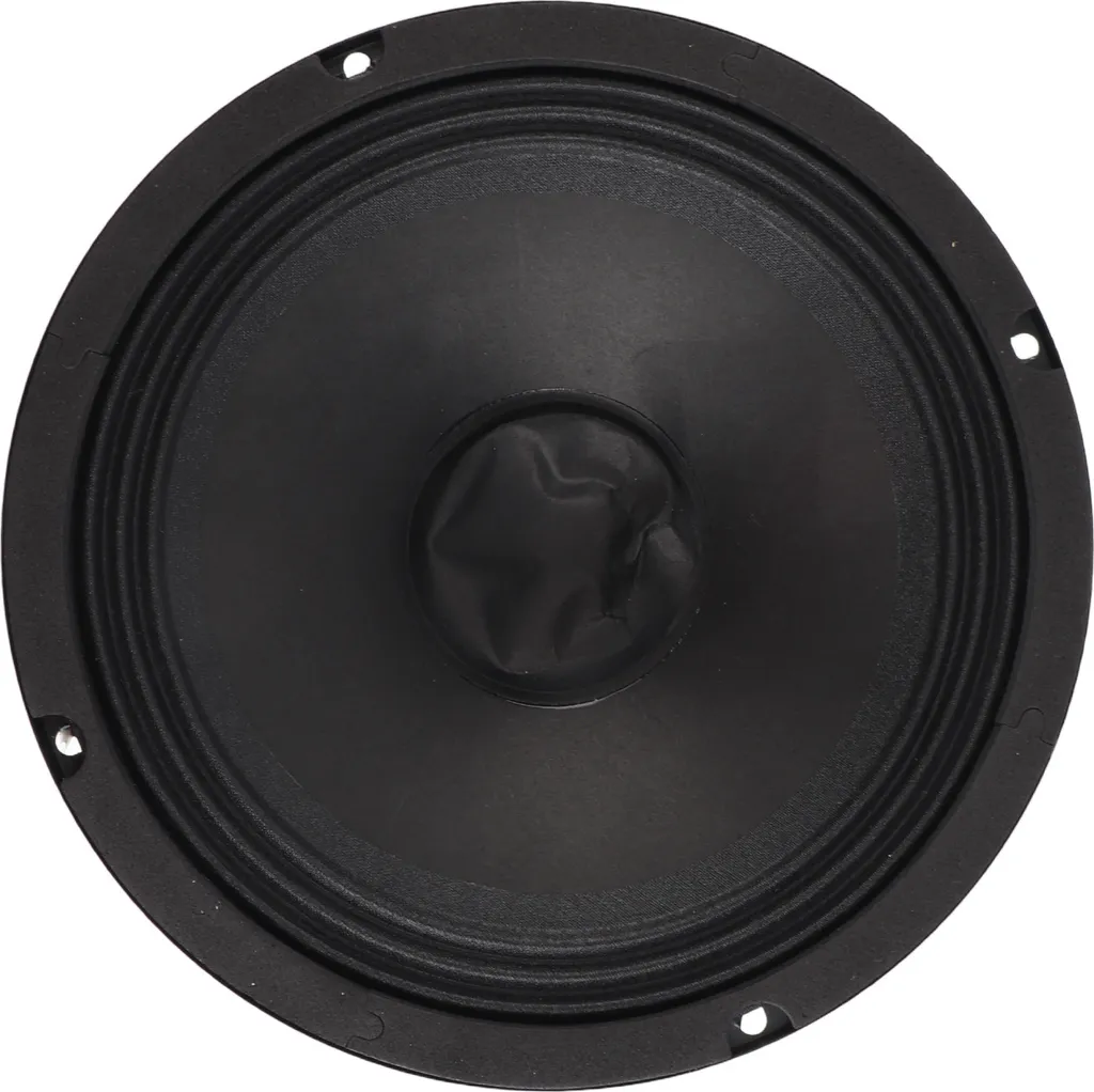 Haut-parleur large bande 8 pouces pour système audio domestique et salon
