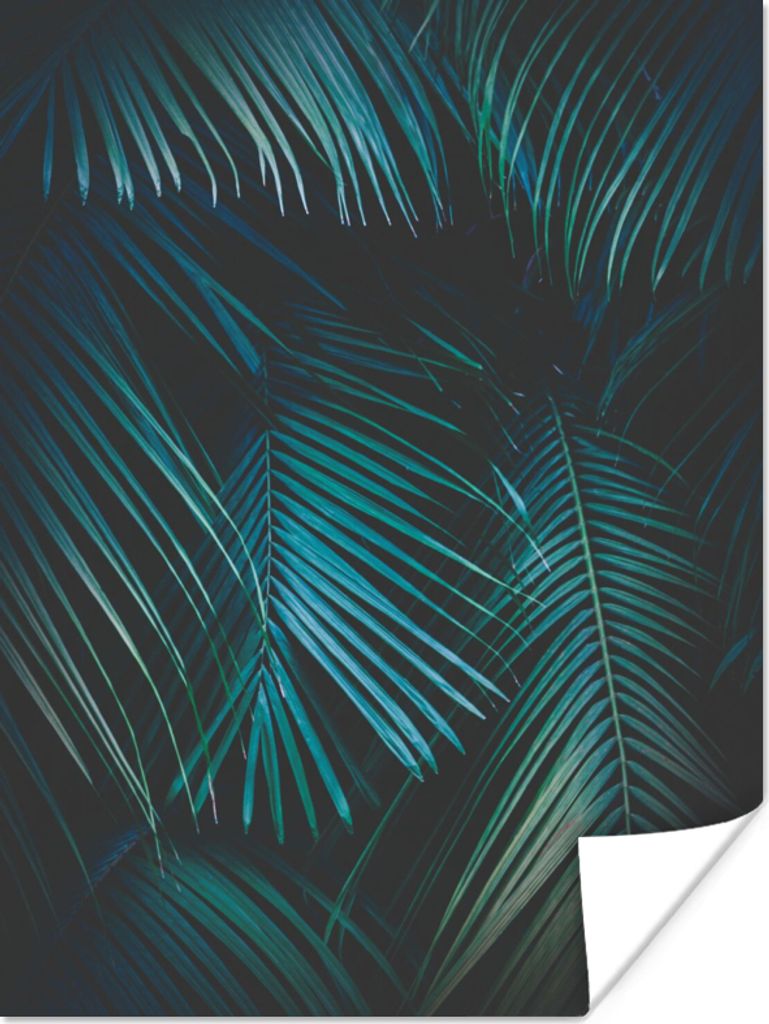 MuchoWow Poster Palme - Palmenbaum - Tropisch 120x160 cm - Wandbilder