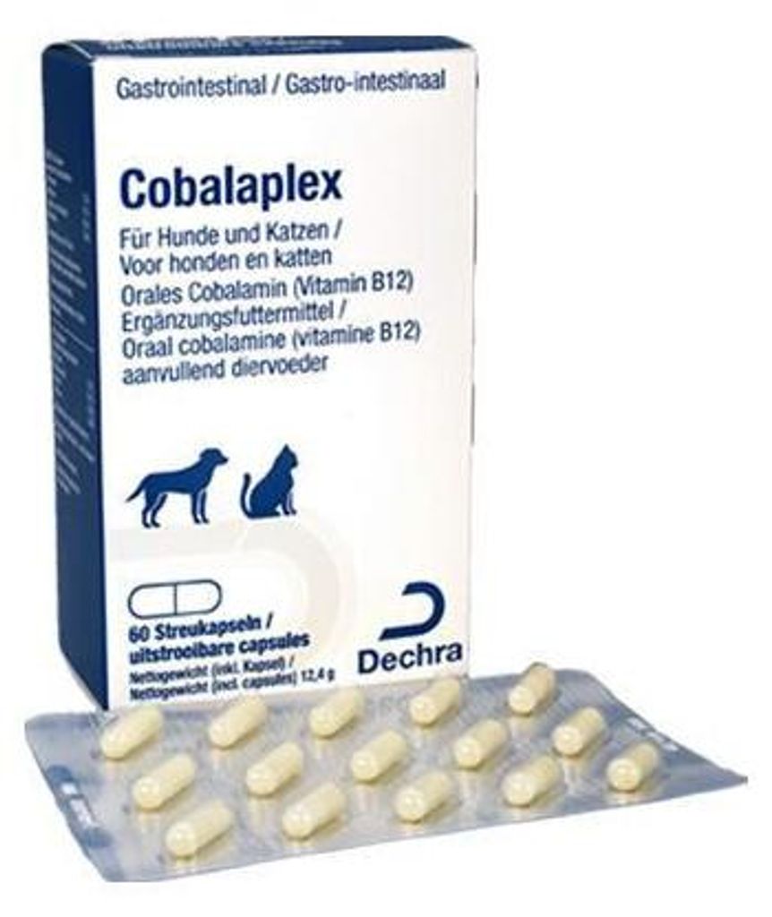 Cobalaplex 60 Kapseln Cobalamin, Vitamin B12, Hund, Katze, Produktbild 