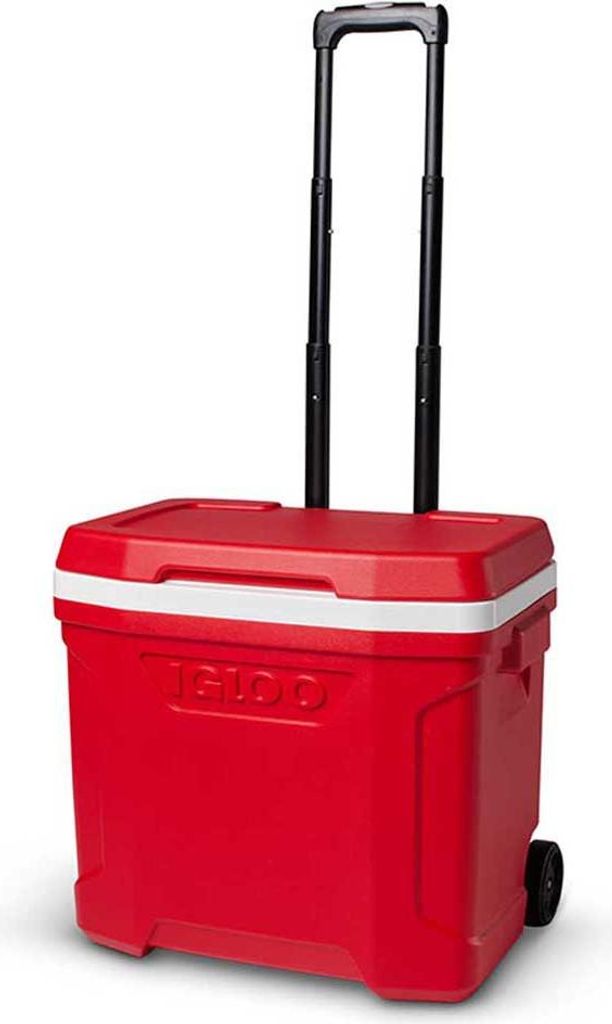 Igloo Coolers Profile 26l Steife Tragbare Kühlbox 46 x 33 x 42 cm 46 x 33 x 42 cm