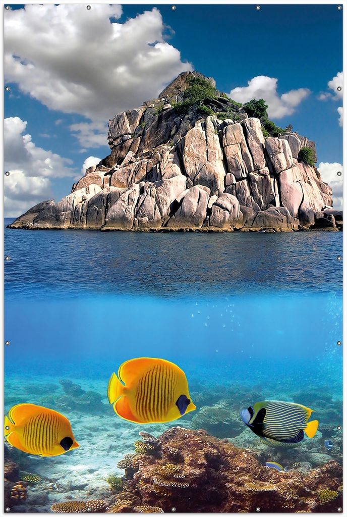 Wallario XXL Outdoor-Poster für Garten oder Balkon, Motiv Exotische Fische im Meer, in ca. 300 x 200 cm