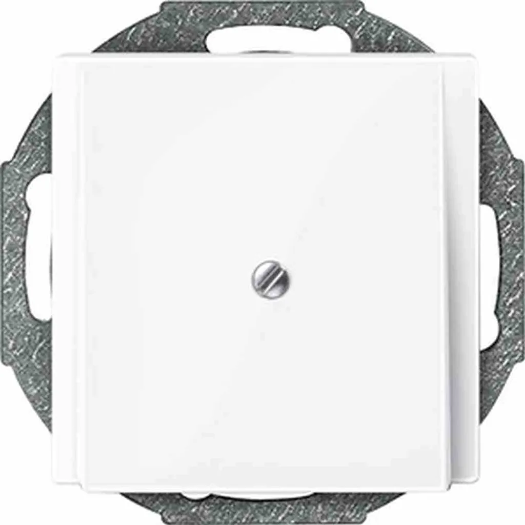 Plaque de Sortie de Câble 296325 Merten en Thermoplastique Blanc Brillant