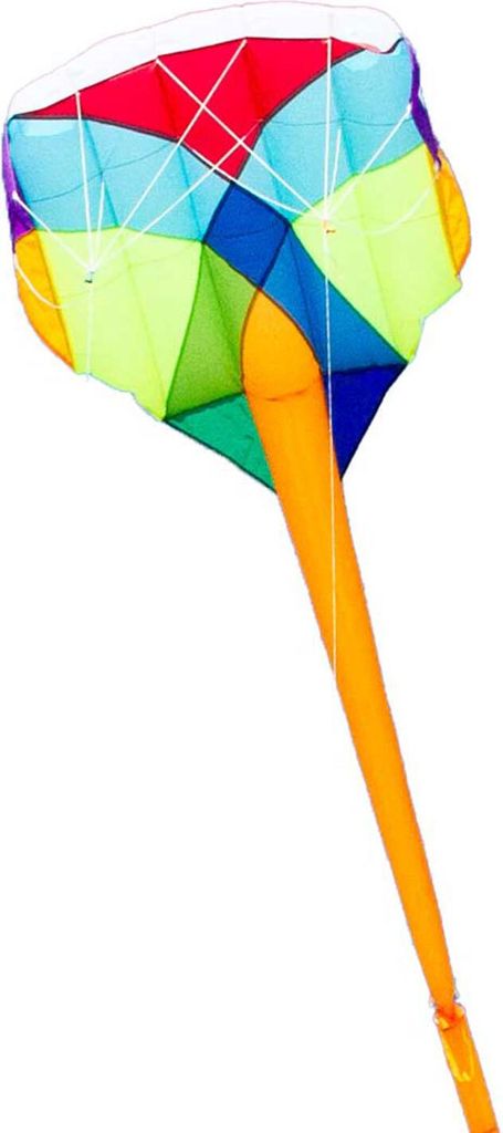 HQ Lenkdrachen Multi-Kite Prisma R2F