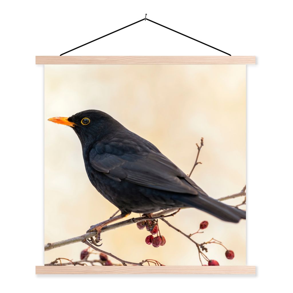 MuchoWow Textilposter Amsel - Vogel - Zweige - Beere - Rot 120x120 cm mit holzfarbenen Rahmen - Textil-Poster