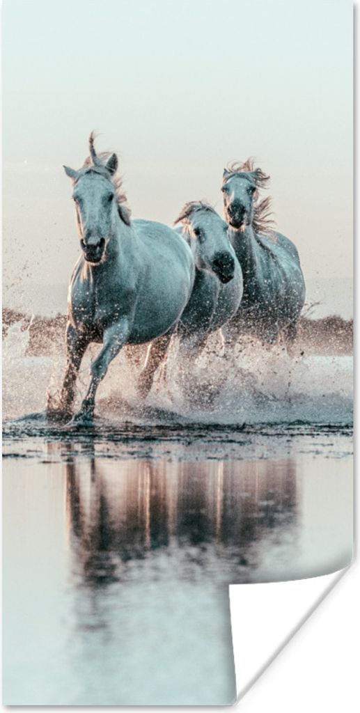 MuchoWow Poster Wilde weiße Pferde galoppieren durch das Wasser in der Camargue 40x80 cm - Dekoration