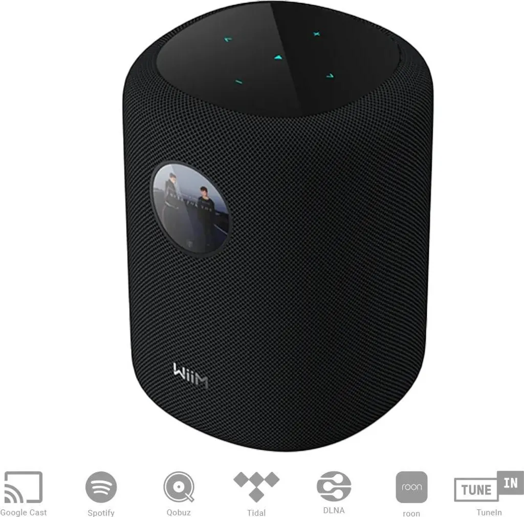 Lecteur réseau WiiM Sound noir récepteur audio sans fil Wi-Fi