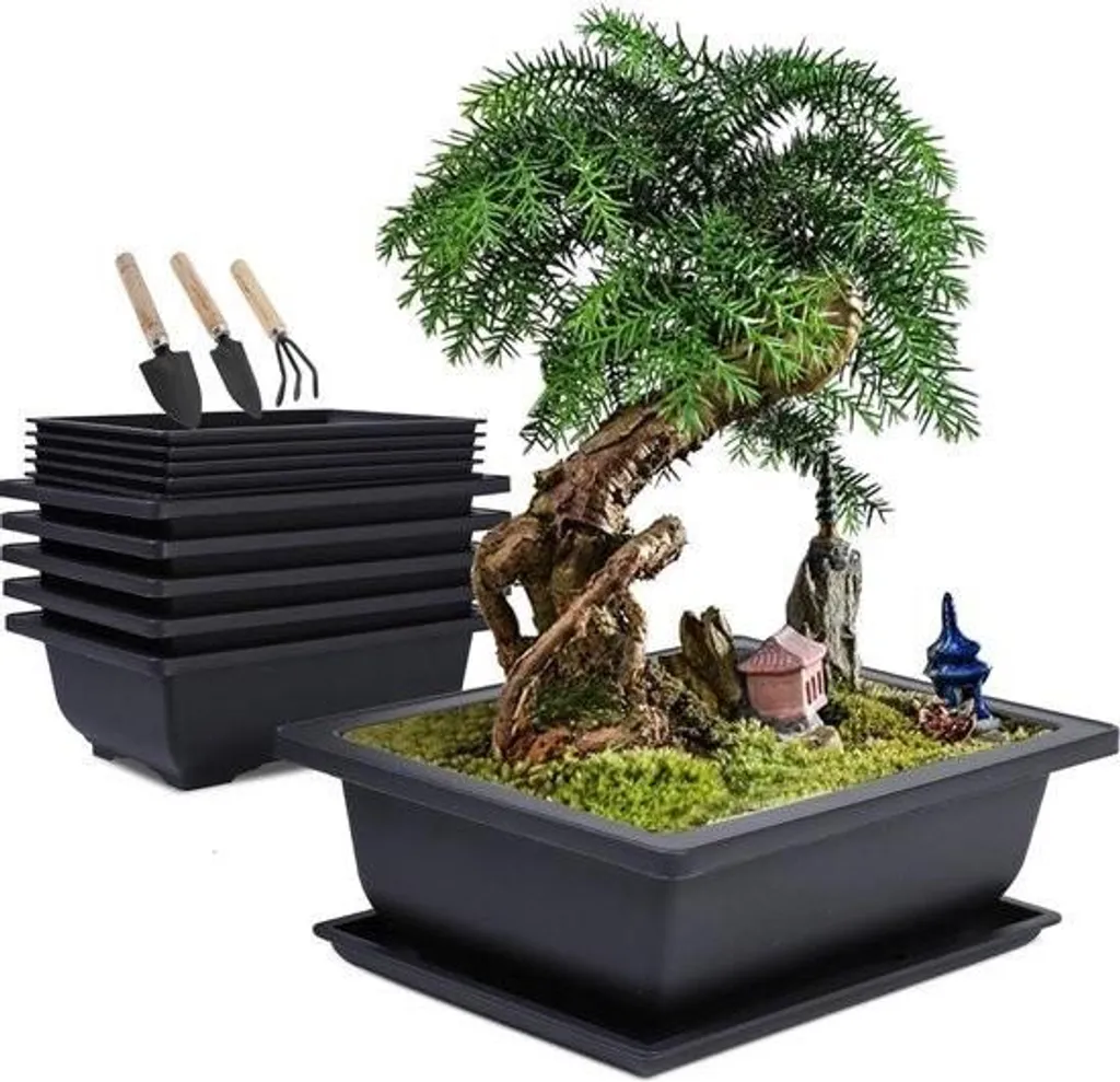 Set de 6 pots bonsaï en plastique avec soucoupes et outils de rempotage