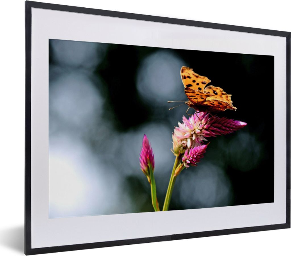 MuchoWow Gerahmtes Poster Schmetterling - Blumen - Insekten 40x30 cm - Poster mit Schwarzem Bilderrahmen Wandposter Rahmen Foto Bilder - Bilderra...