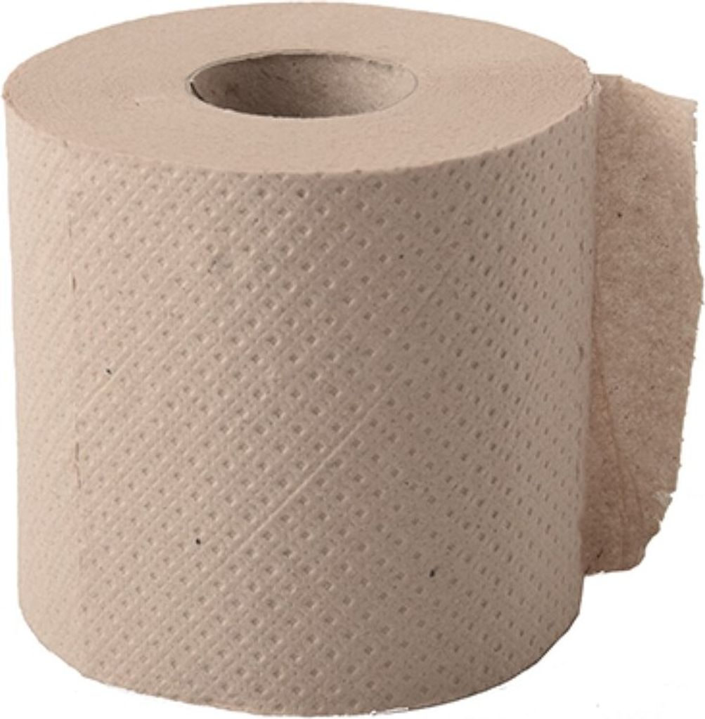 48 Rollen Toilettenpapier Tissue Ø 9,6 cm · 10 cm x 9,5 cm hellbraun "soft" 2-lagig, 300 Blatt, Recycling