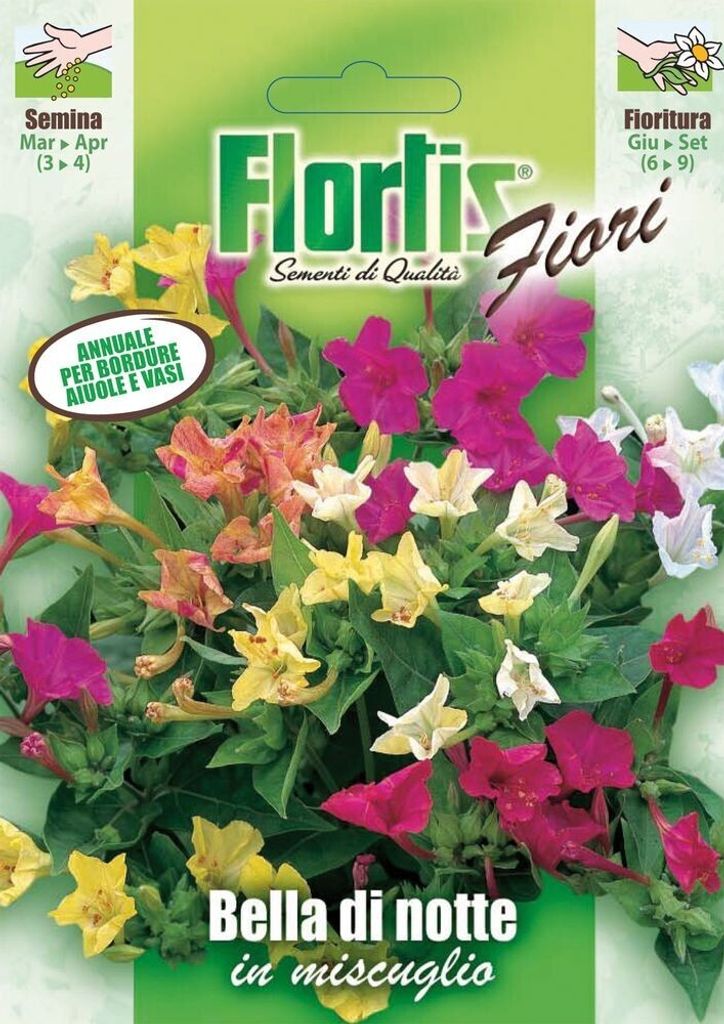 Wunderblume Mischung | Wunderblumensamen von Flortis