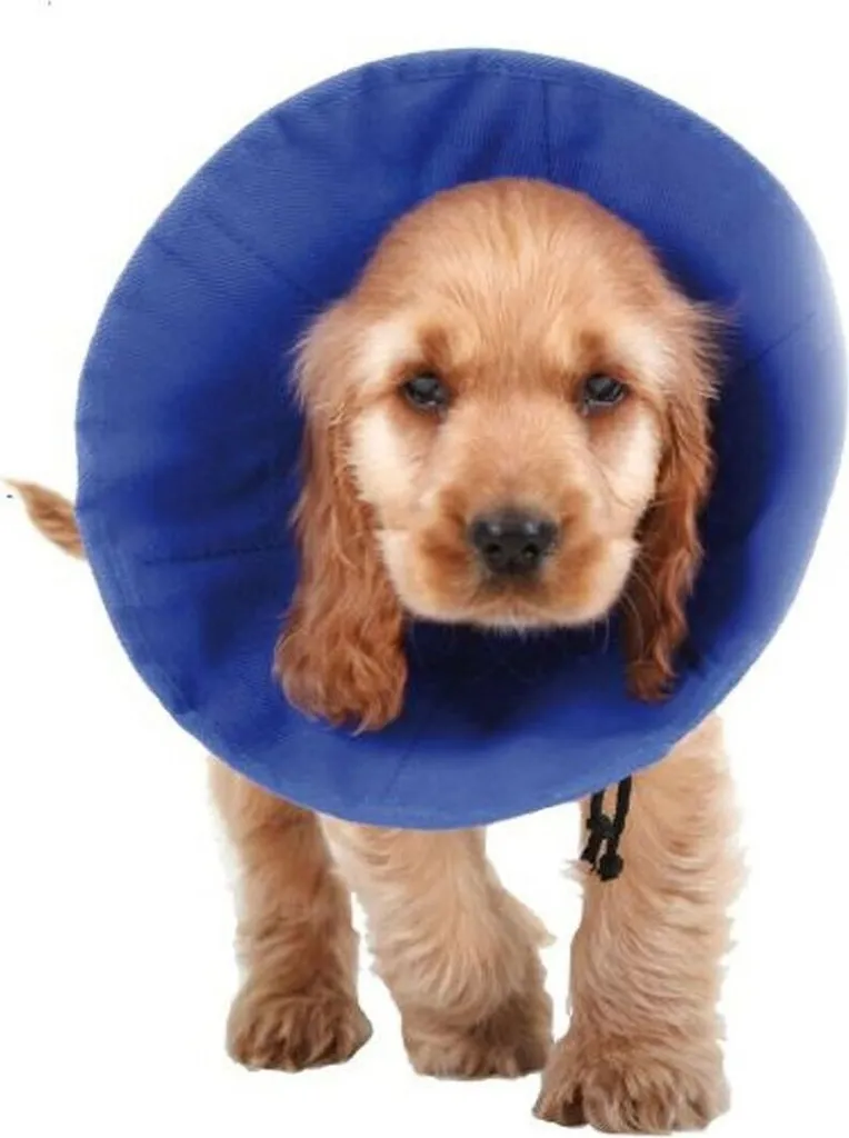 Collare per cani KVP EZ Soft Blue (9-25 cm)