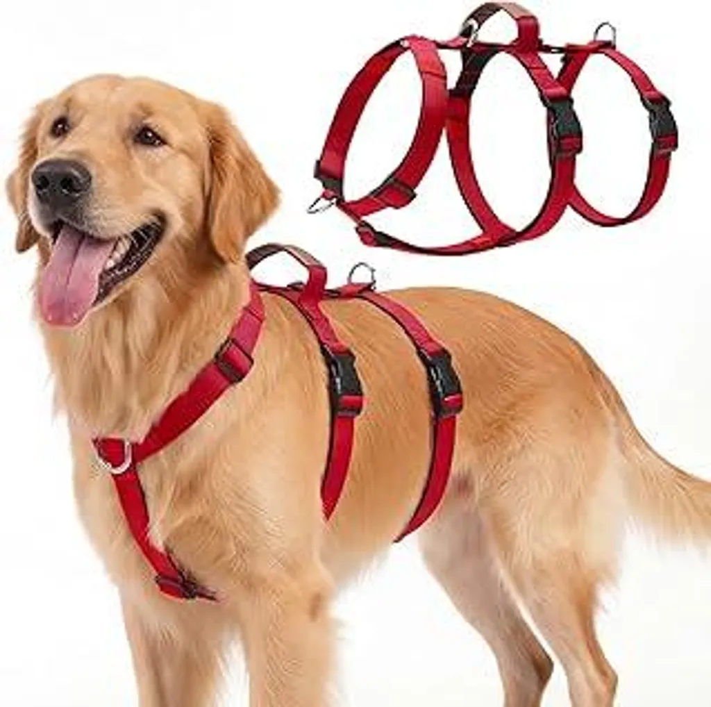 Recensione Pettorina Antifuga L Rossa: Perchè sceglierla per il tuo cane