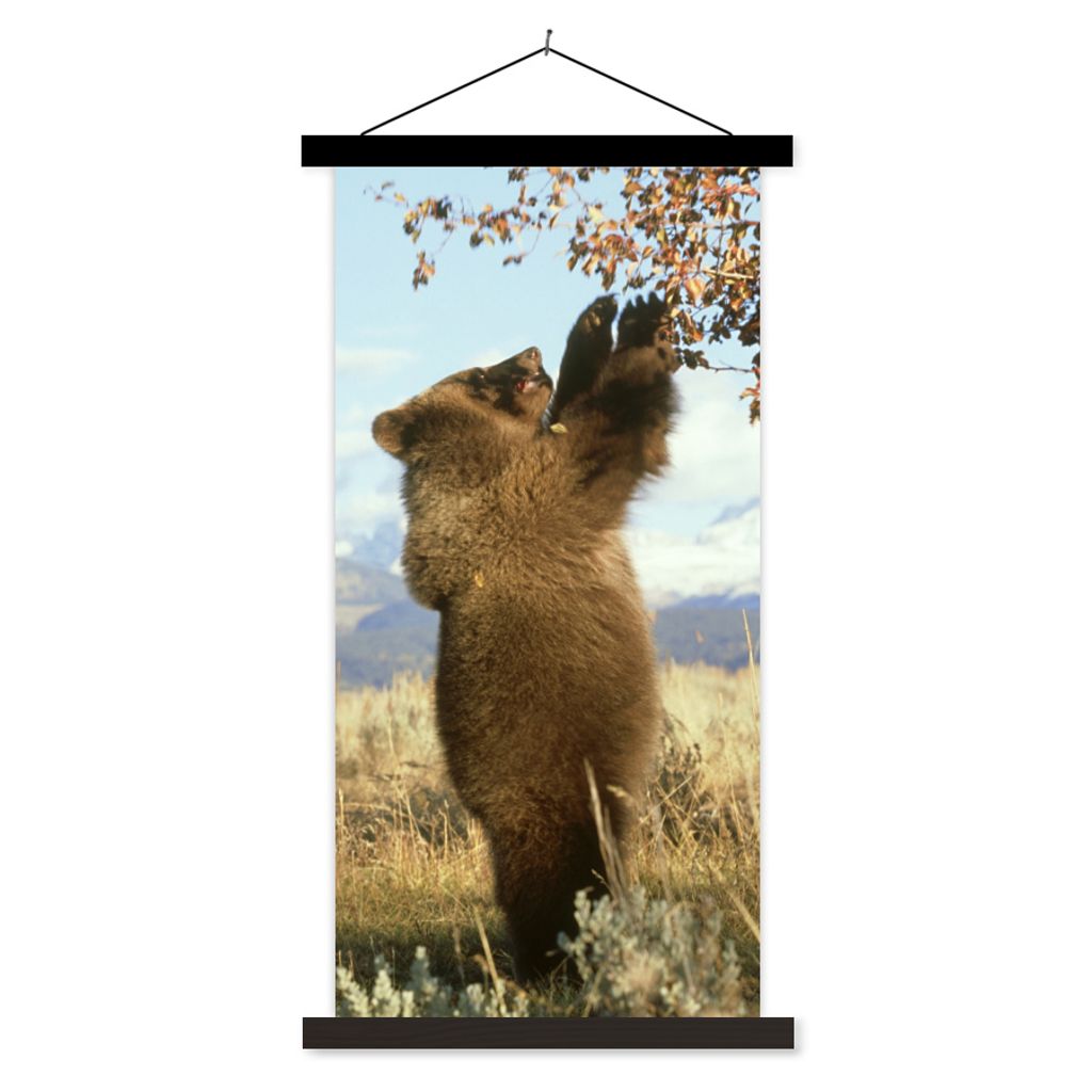 MuchoWow Textilposter Bär - Laub - Gras 40x80 cm mit schwarzem Rahmen - Wandemalerei