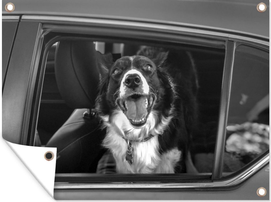 MuchoWow 40x30 cm Outdoor-Poster Gartendeko Sichtschutz Garten Poster für den Garten Ein glücklicher Hund, der aus dem Fenster hängt
