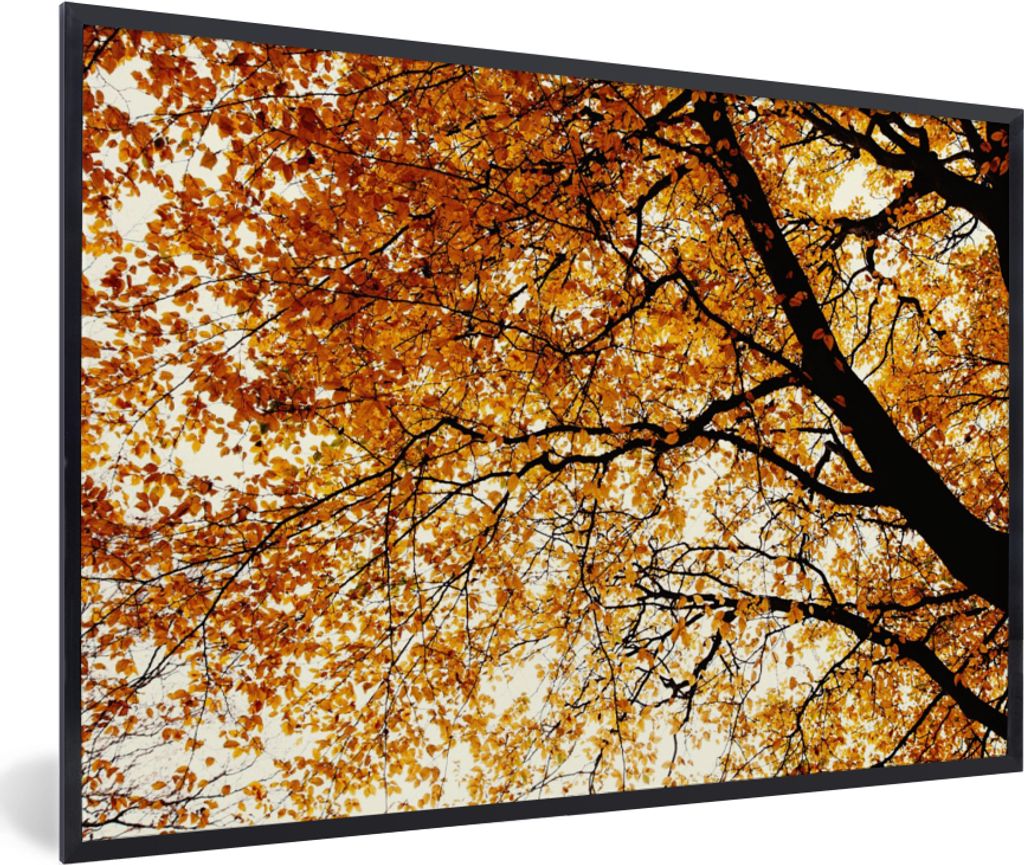 MuchoWow Gerahmtes Poster Baum - Herbstblätter - Jahreszeiten - Rustikal 30x20 cm - Poster mit Schwarzem Bilderrahmen Wandposter Rahmen Foto Bil...