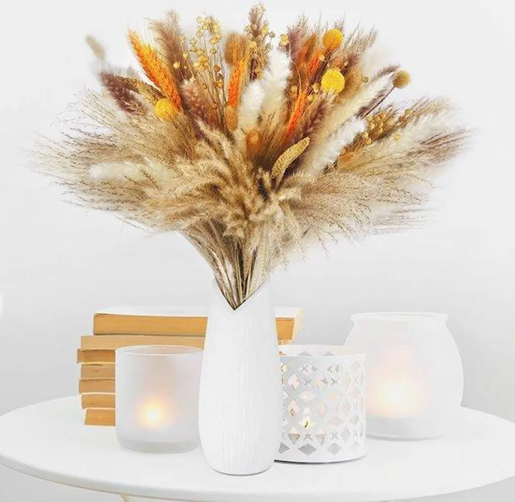 Décoration de salon et chambre : 100 herbes de la pampa naturelles DIY