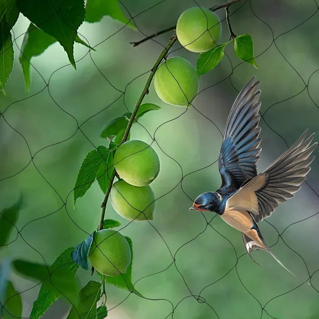 Protection des Plantes et Cultures contre Oiseaux en Filet Nylon Noir