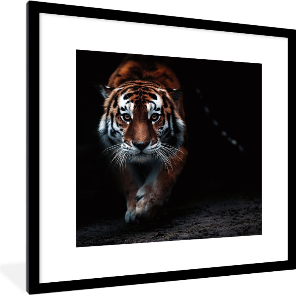 MuchoWow Gerahmtes Poster Tiere - Tiger - Schwarz - Wild - Porträt 40x40 cm - Poster mit Schwarzem Bilderrahmen Wandposter Rahmen Foto Bilder - ...