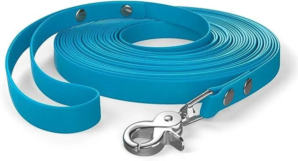 Laisse longue 10m anti-salissures et robuste pour grand chien, Bleu