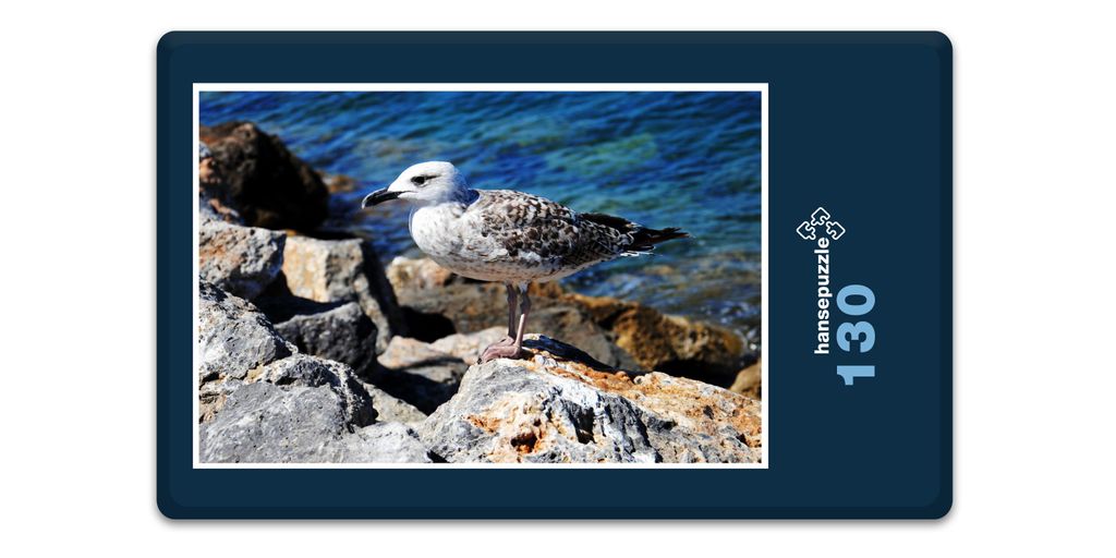 hansepuzzle 18882 - Möwe Puzzle, 130 Teile, Tierwelt, 28,7 x 20,0cm mit hochwertiger Aufbewahrung, Kartonbox und wiederverschließbarem Beutel