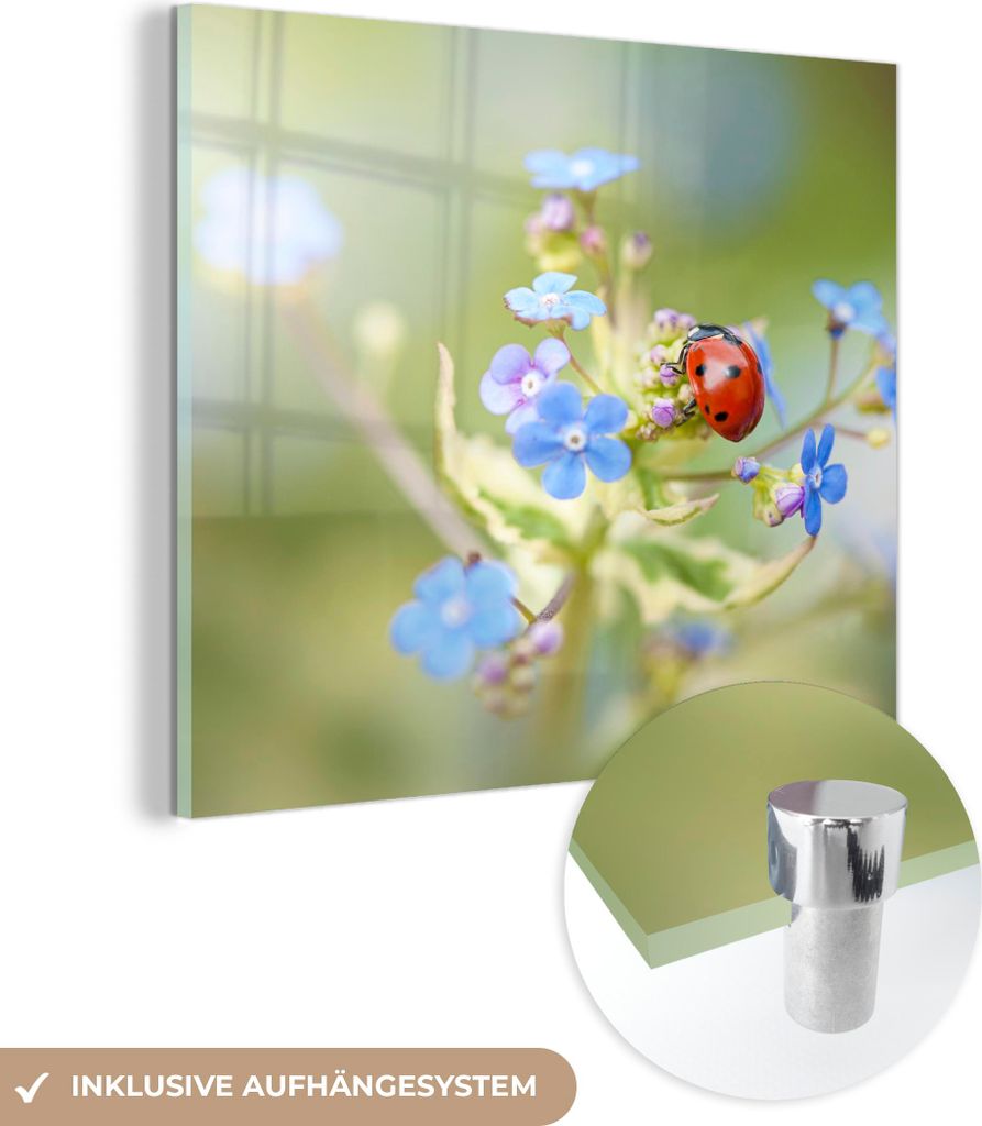MuchoWow Glasbilder - Bilder auf Wandbild - Foto auf Glas Marienkäfer - Blume - Frühling 20x20 cm Wanddekoration aus Glas - Acrylglasbild - Acryl...