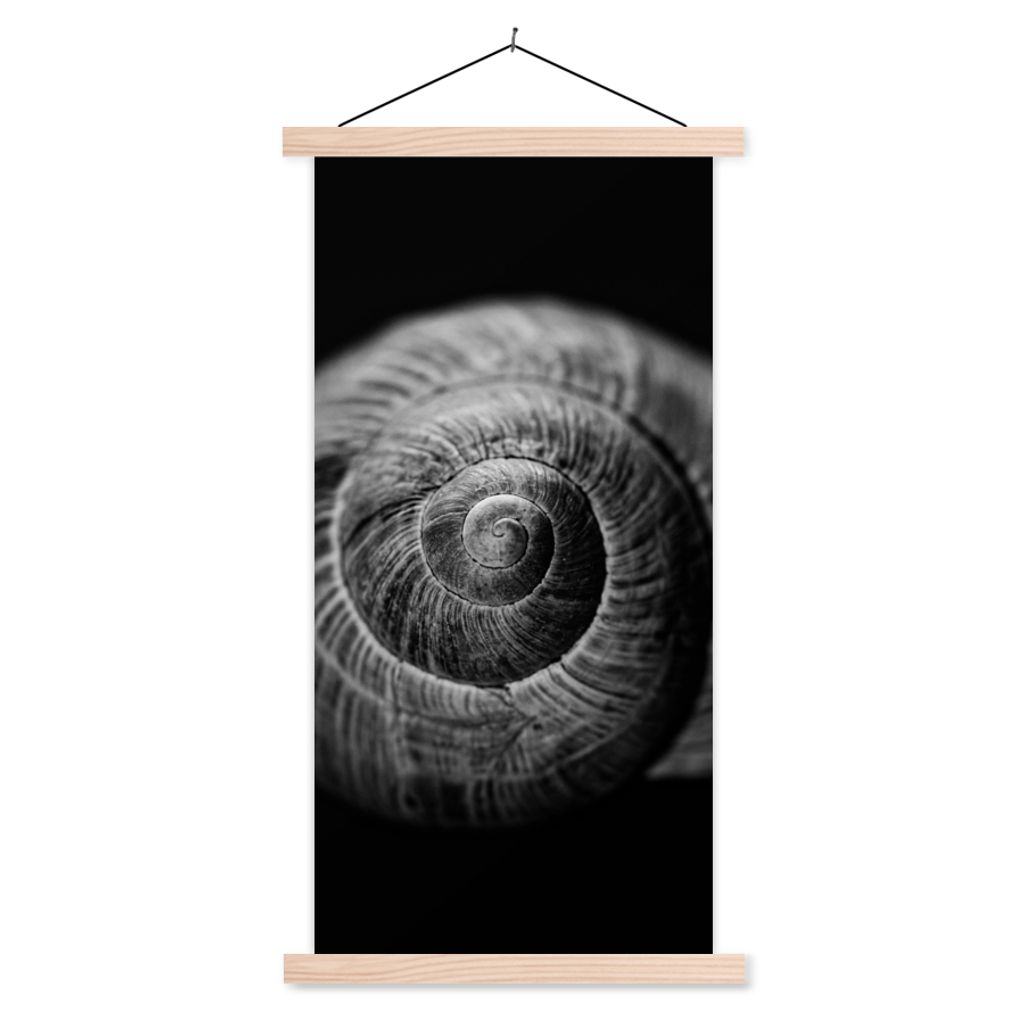 MuchoWow Textilposter Schnecke - Tiere - Schwarz - Weiß - Schneckenhaus 60x120 cm mit holzfarbenen Rahmen - Holz