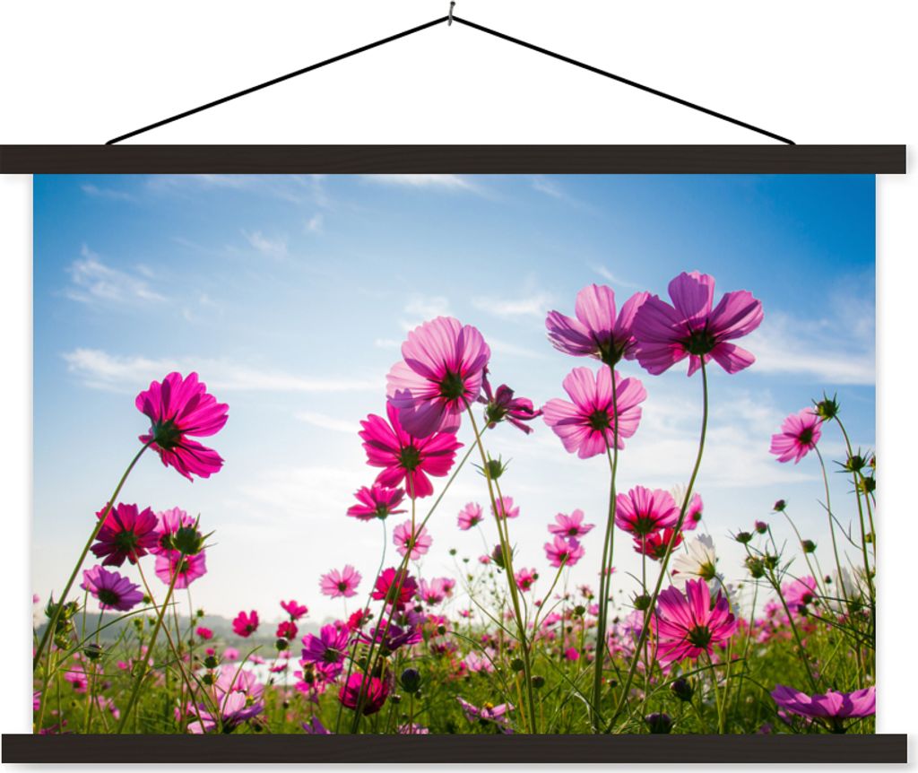 MuchoWow Textilposter Blumen - Rosa - Cosmea 60x40 cm mit schwarzem Rahmen - Hölzernes