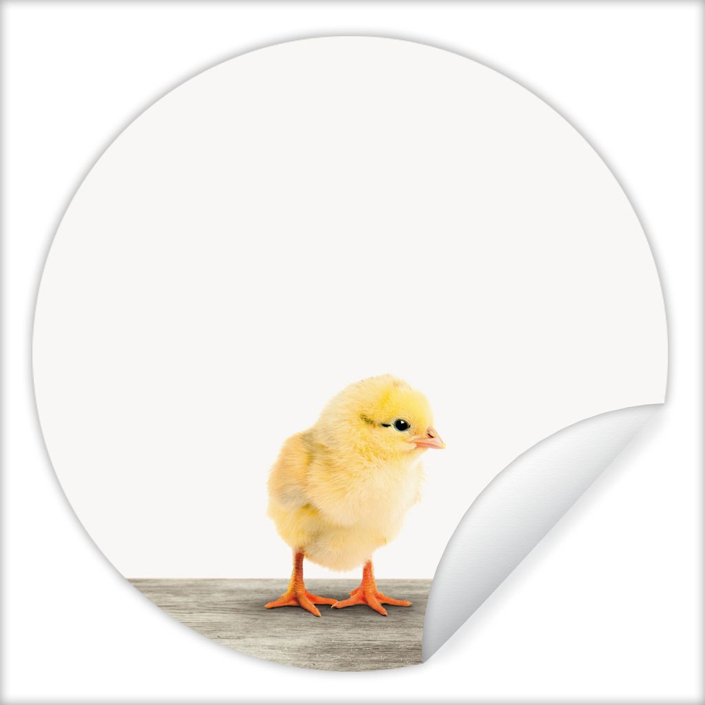 MuchoWow Runde Wandtattoo - Wandsticker Tapete Aufkleber Küken - Tiere - Jungen - Mädchen - Kinder Ø 80 cm Selbstklebend und Repositionierbar ...