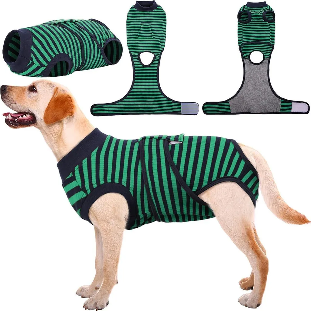 Kuoser Body pour chien après opération XXL vert pour mâle et femelle