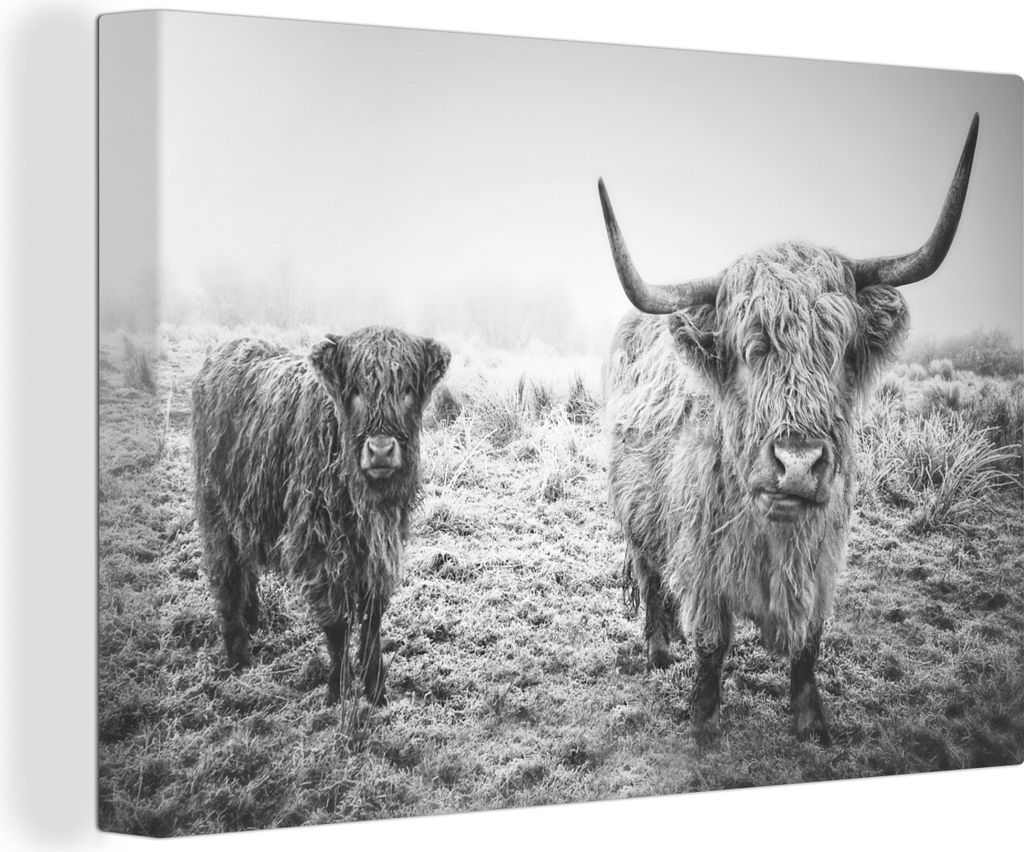 OneMillionCanvasses - Leinwandbilder - 150x100 cm, Schottische Hochlandbewohner - Licht - Himmel - Natur, Wandbilder Kunstdruck Wanddekoration