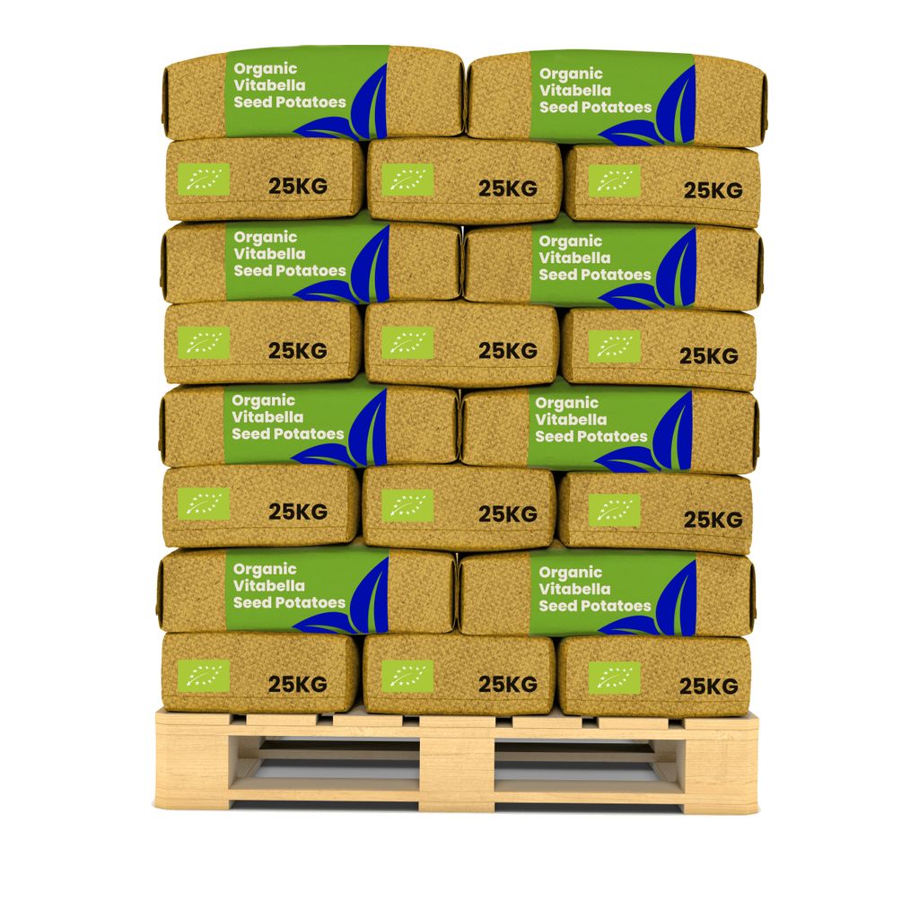 -Saatkartoffeln Vitabella A 28/35 (40x = 1000 kg) - Organifer