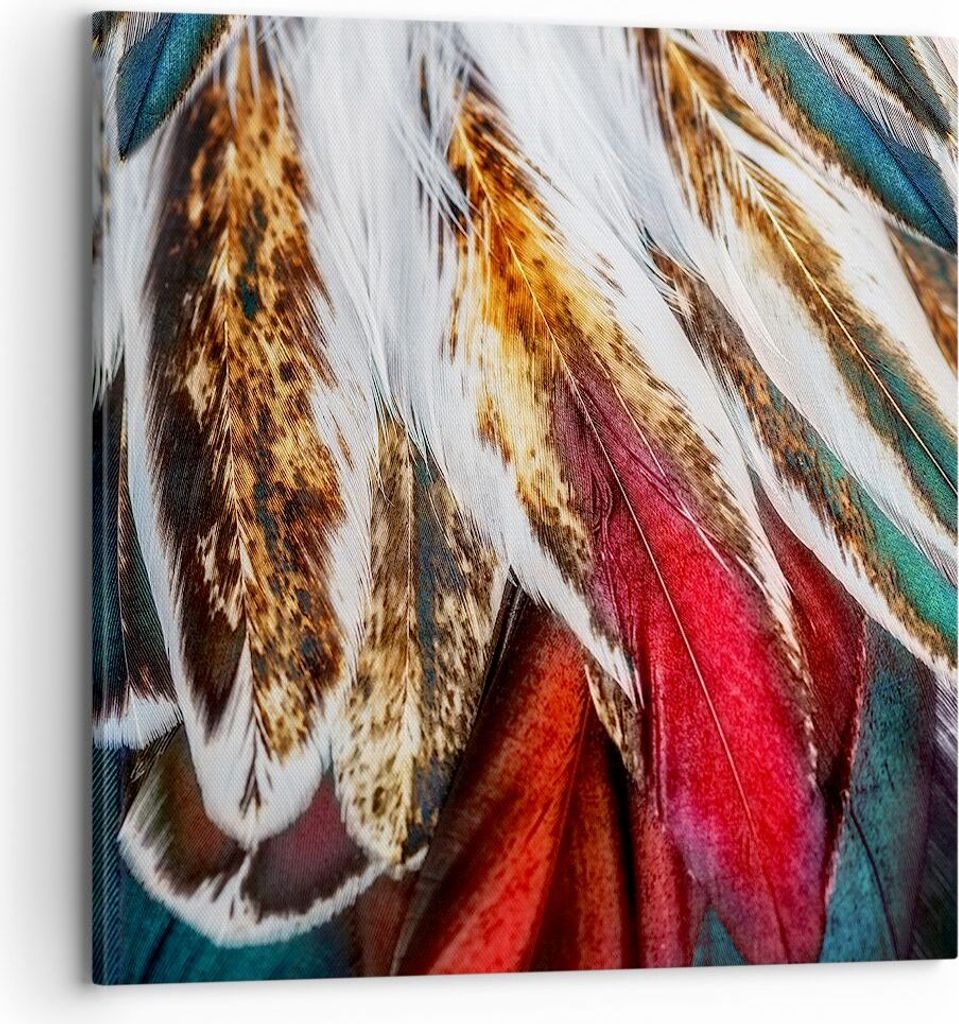 Bild auf Leinwand - Leinwandbild - Federn Federn Vogel - 70x70cm - Wand Bild - Wanddeko - Wandbilder - Leinwanddruck - Bilder - Kunstdruck - Wandde...