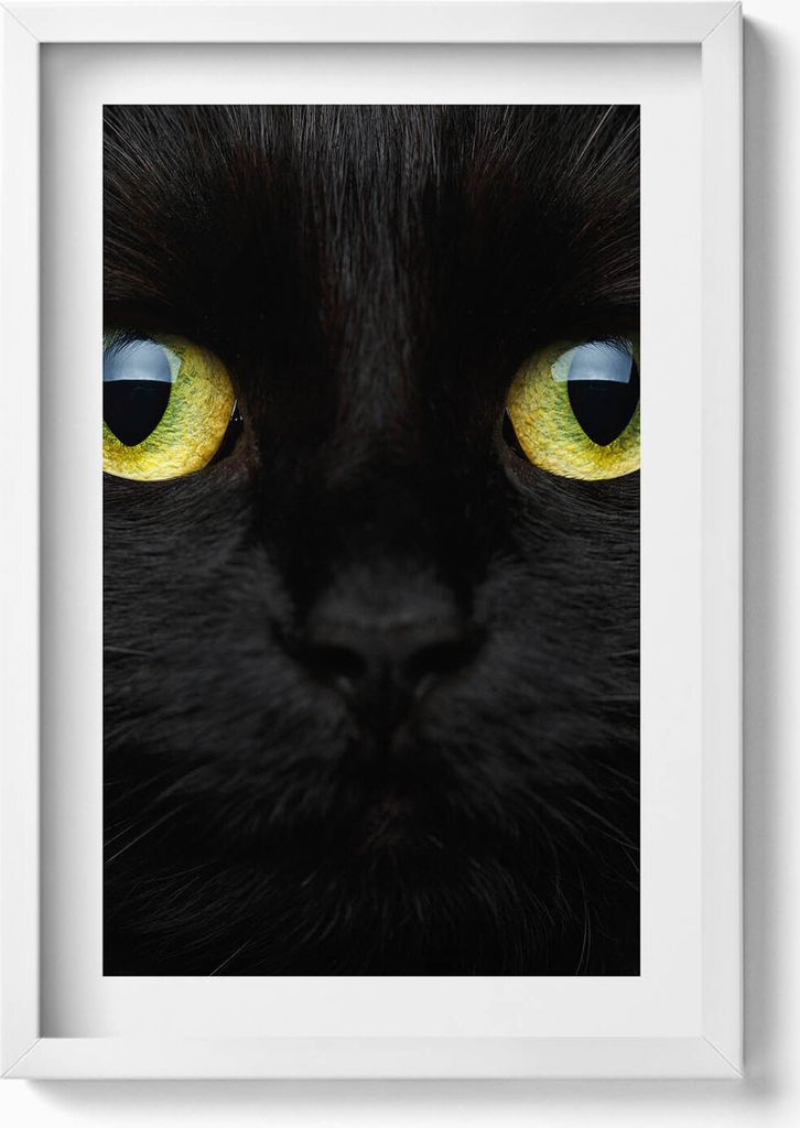 Tierische Katzenaugen– Wandbild mit Rahmen – Gerahmtes Bild – Wanddekoration – 40x60 cm – Weiß