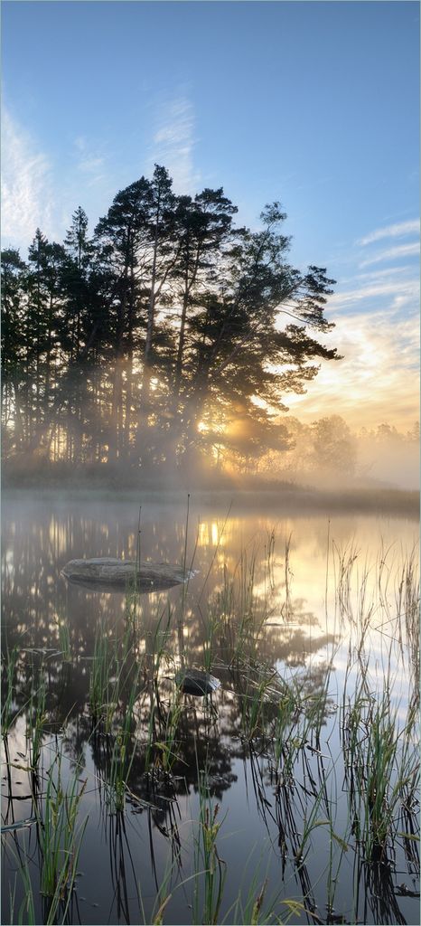 Türtapete Türposter Stiller See mit Insel im Morgennebel - Größe: 93 x 205 cm