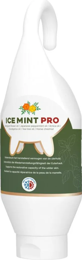 Gel Menta Ghiaccio PRO 500ml - Effetto Freddo Intenso e Flacone Appendibile